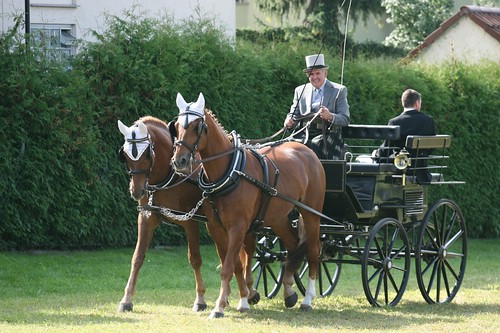 100 Jahre Pferdezuchtverein Disc 1 053_web