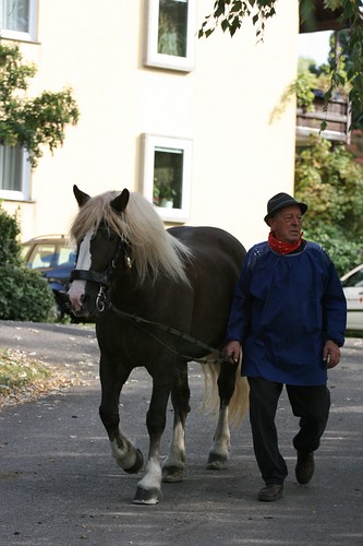 Jubiläum 344_web