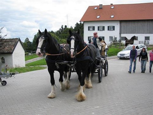 Pzverein Ausflug 2012 Oberbayern 060